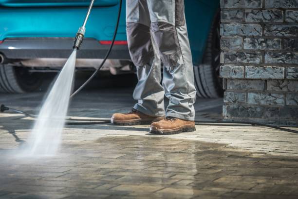 Best Gutter Cleaning  in Homestead Meadows South, TX