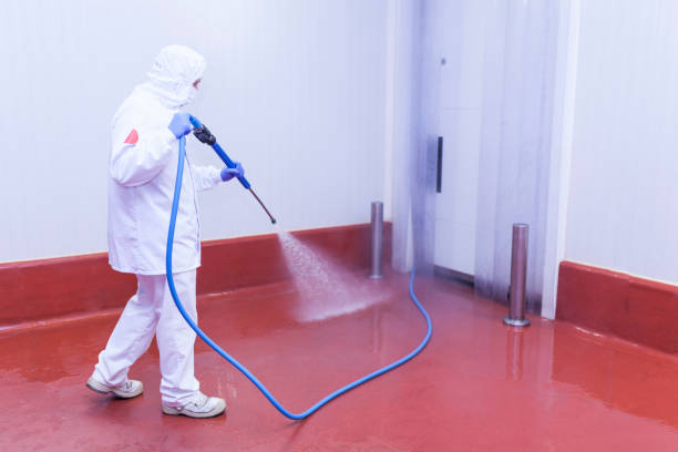 Best Sign and Awning Cleaning  in Homestead Meadows South, TX