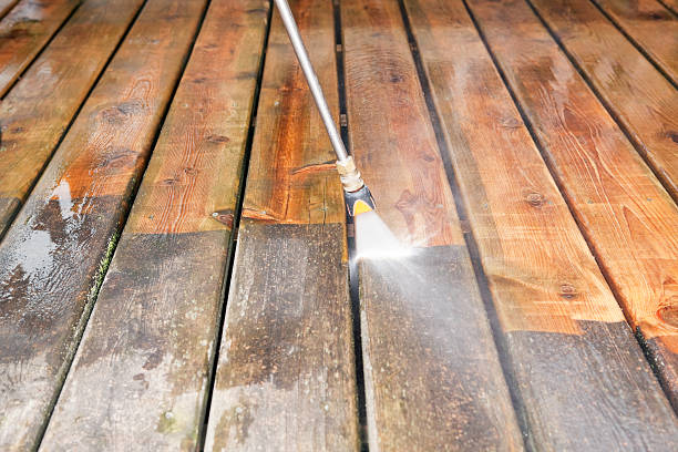 Best Fence Cleaning  in Homestead Meadows South, TX